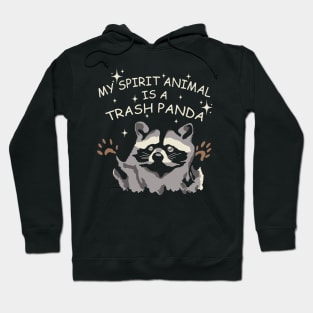 My Spirit Animal Is A Trash Panda Funny Raccoon Hoodie